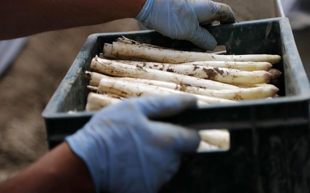 Biodiversity preservation through regenerative agriculture support