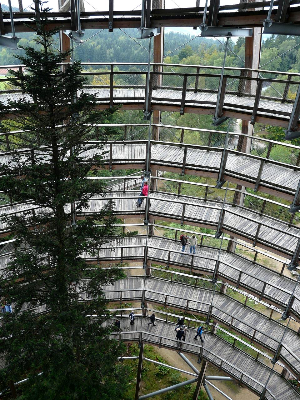 Community wellness score based on collective health improvements