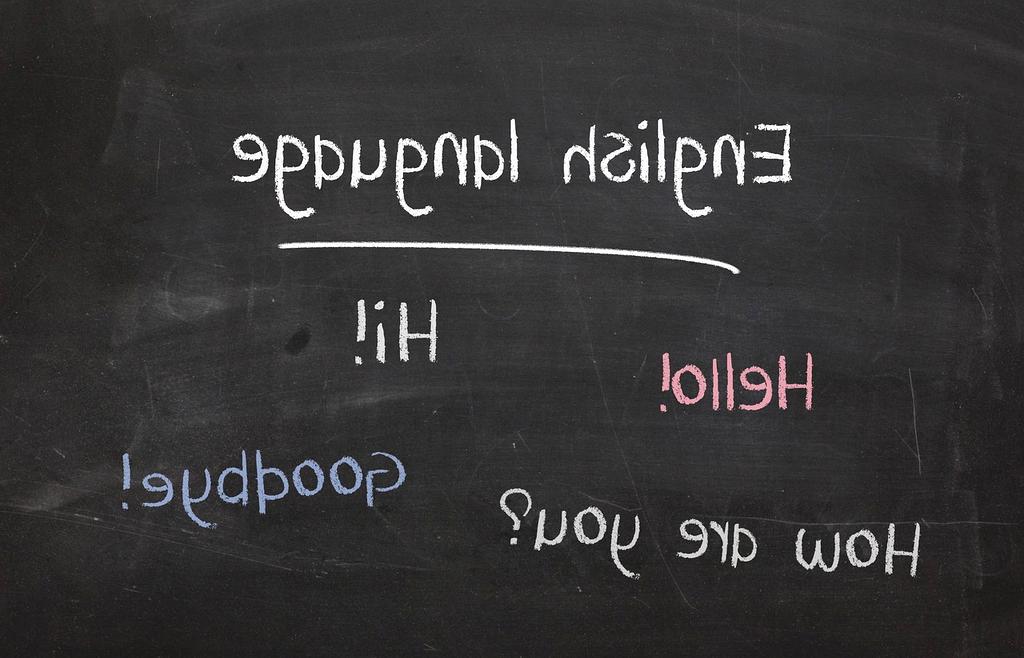 Group of people learning and engaging in wellness courses online