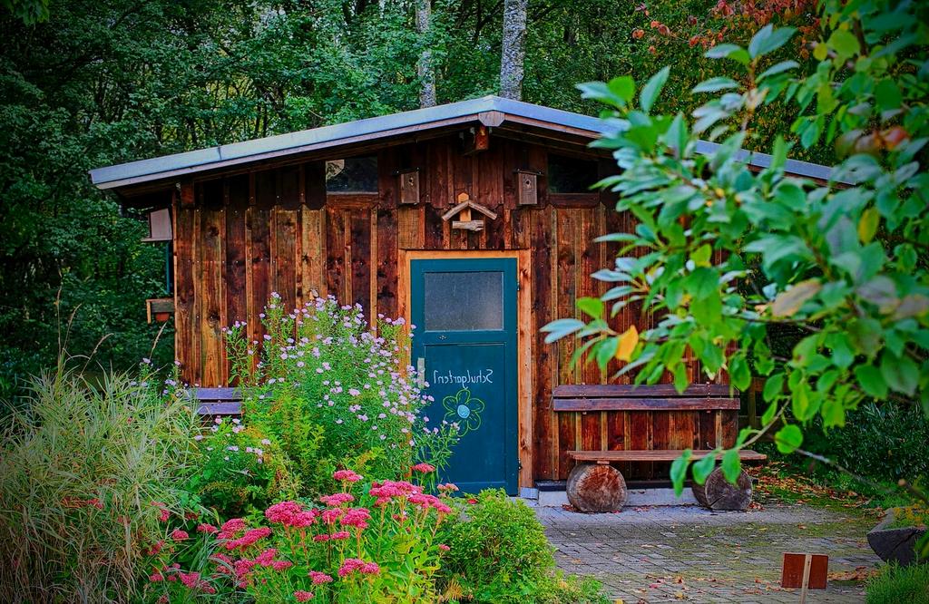 Regenerative agriculture field showing healthy soil and diverse crops