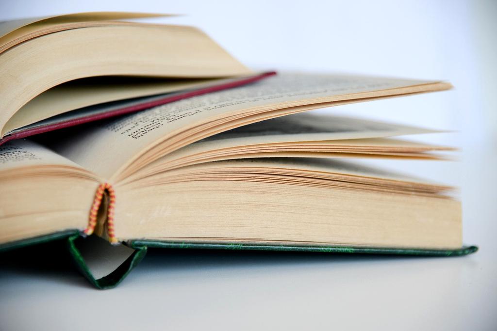 Professional wellness consultation service icon